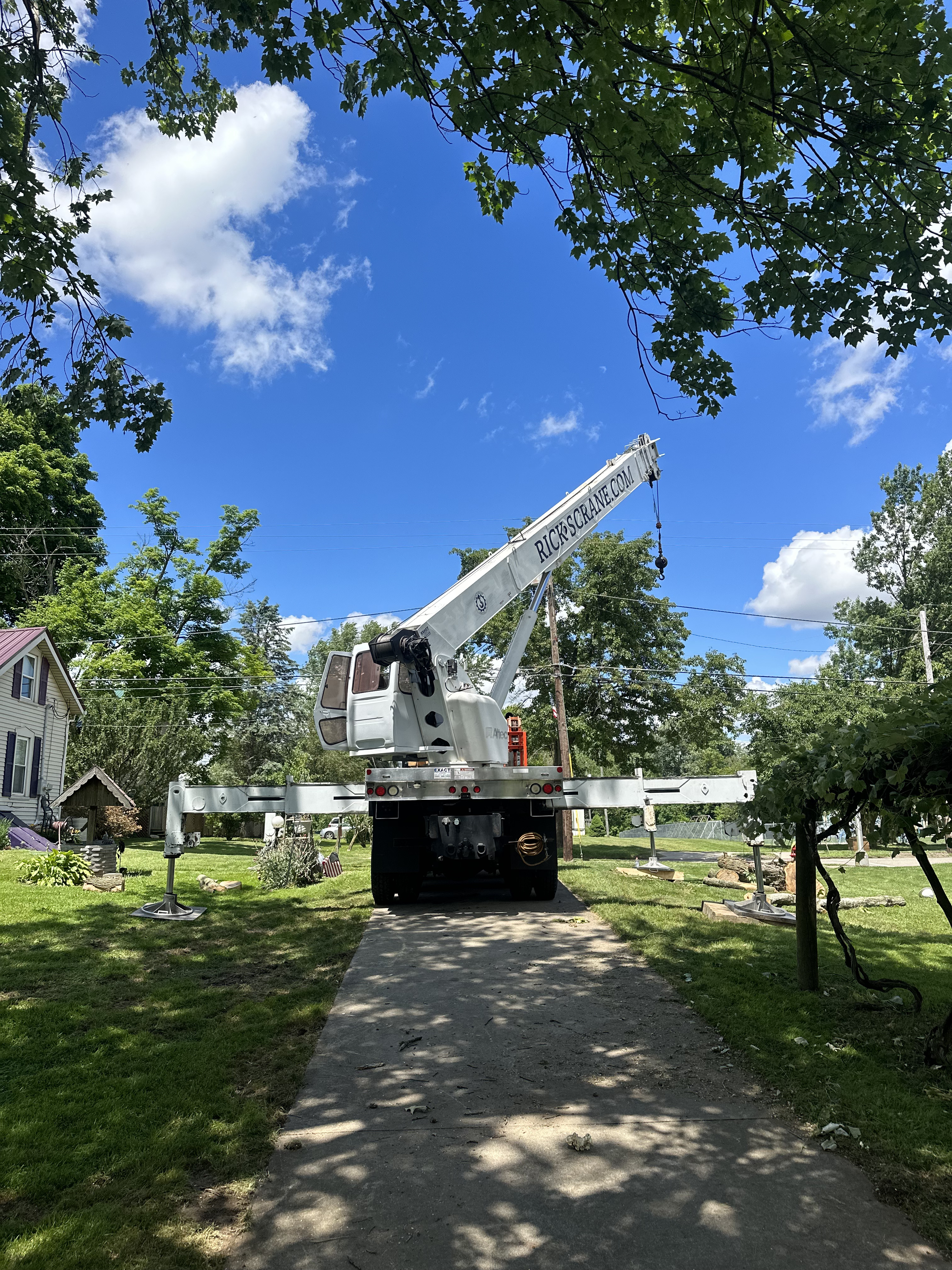 Tree trimming and pruning service