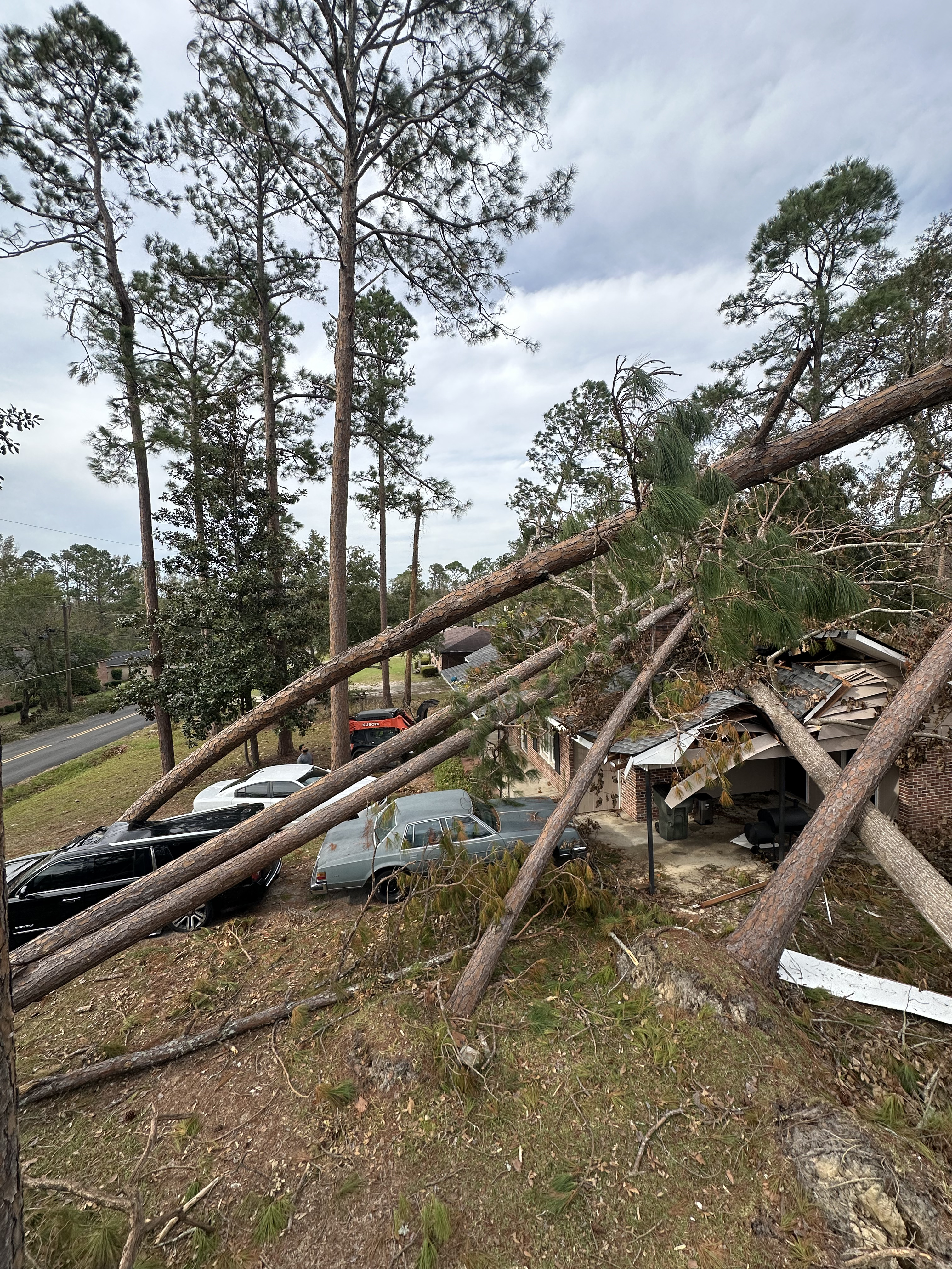 Emergency tree service for storm damaged trees