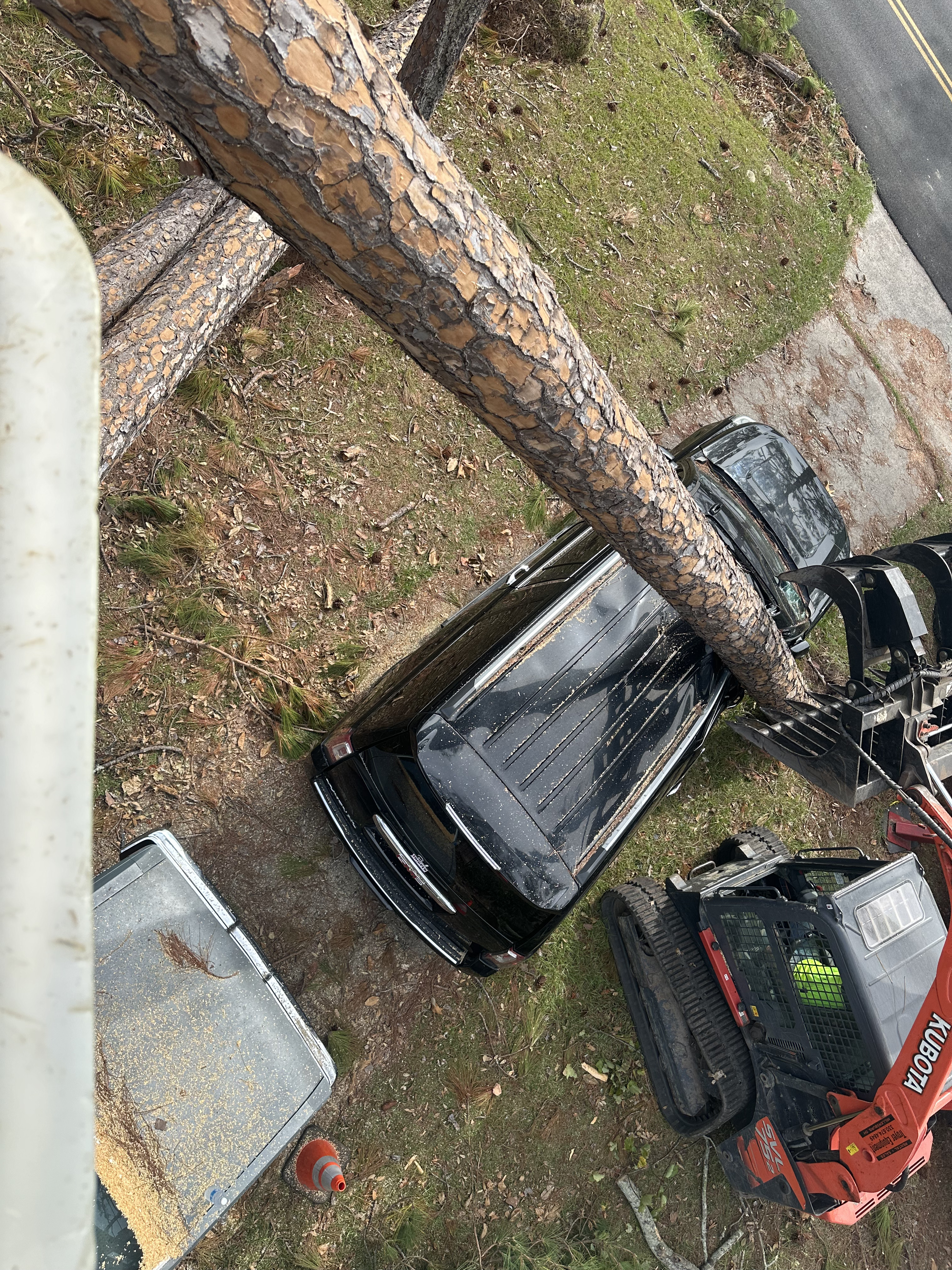 Tree care work in Alliance Ohio