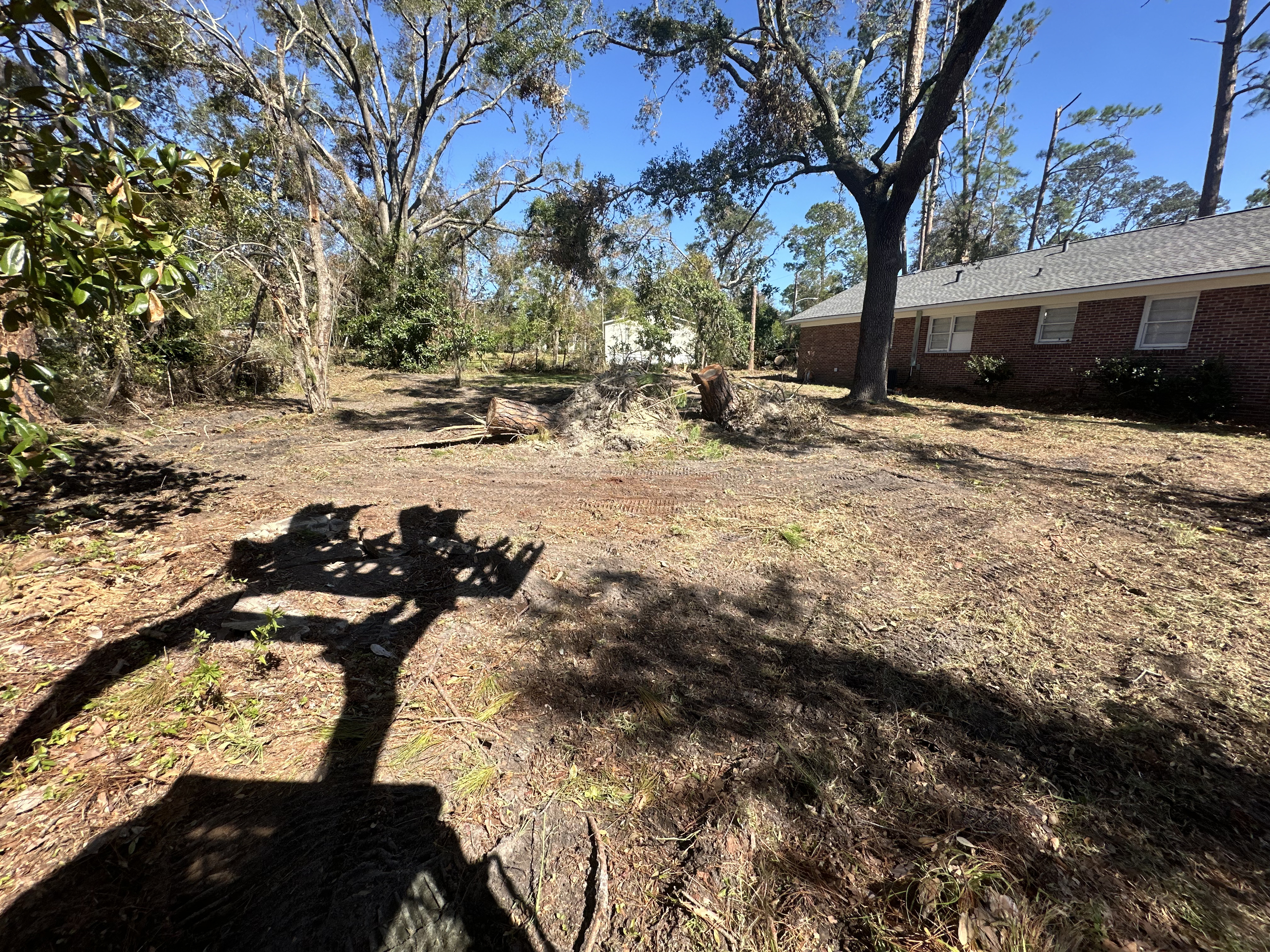 Stump grinding and tree stump removal service