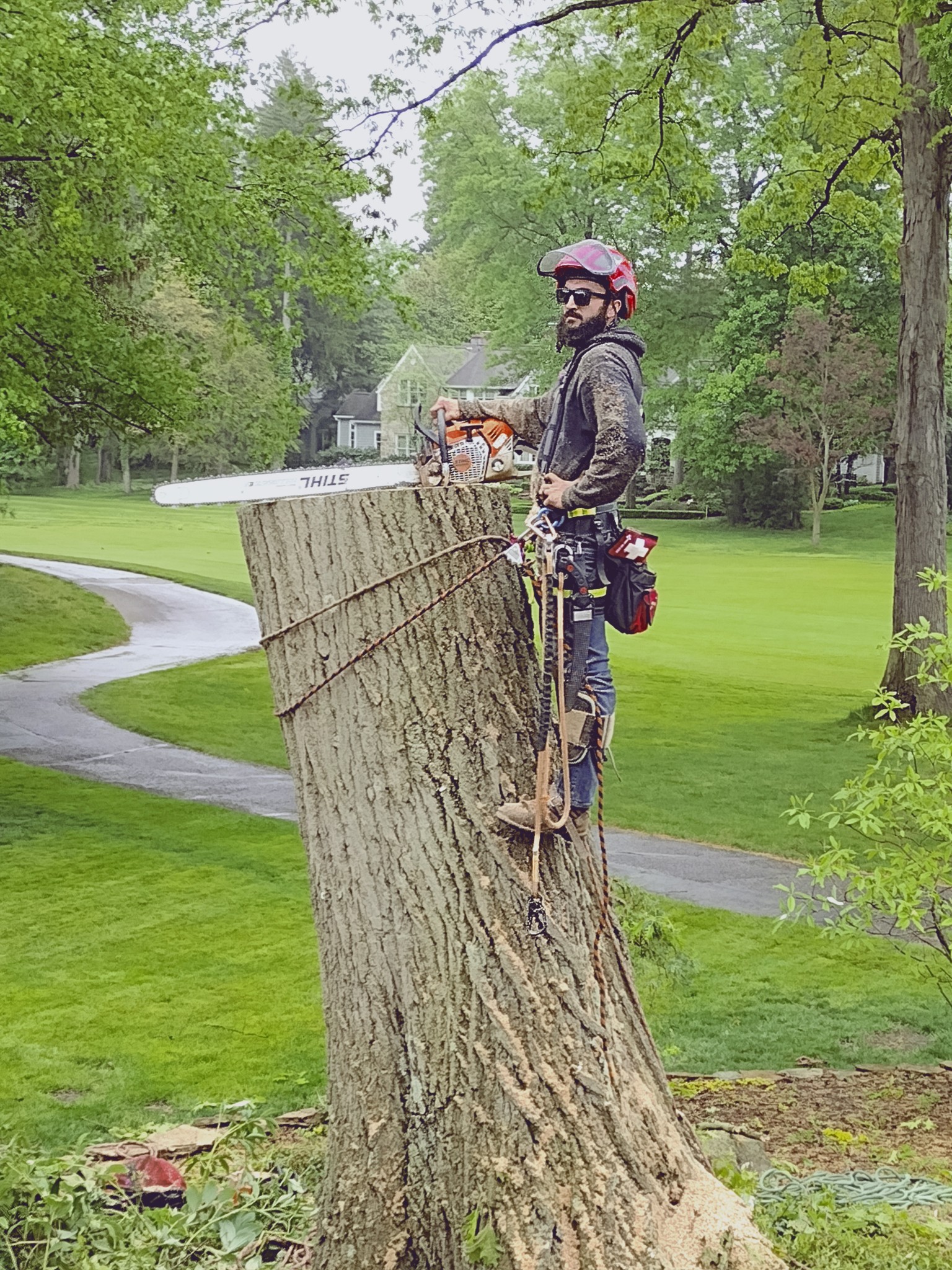 Stump Grinding in Alliance Ohio
