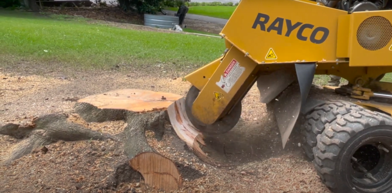 stump grinding or stump removal