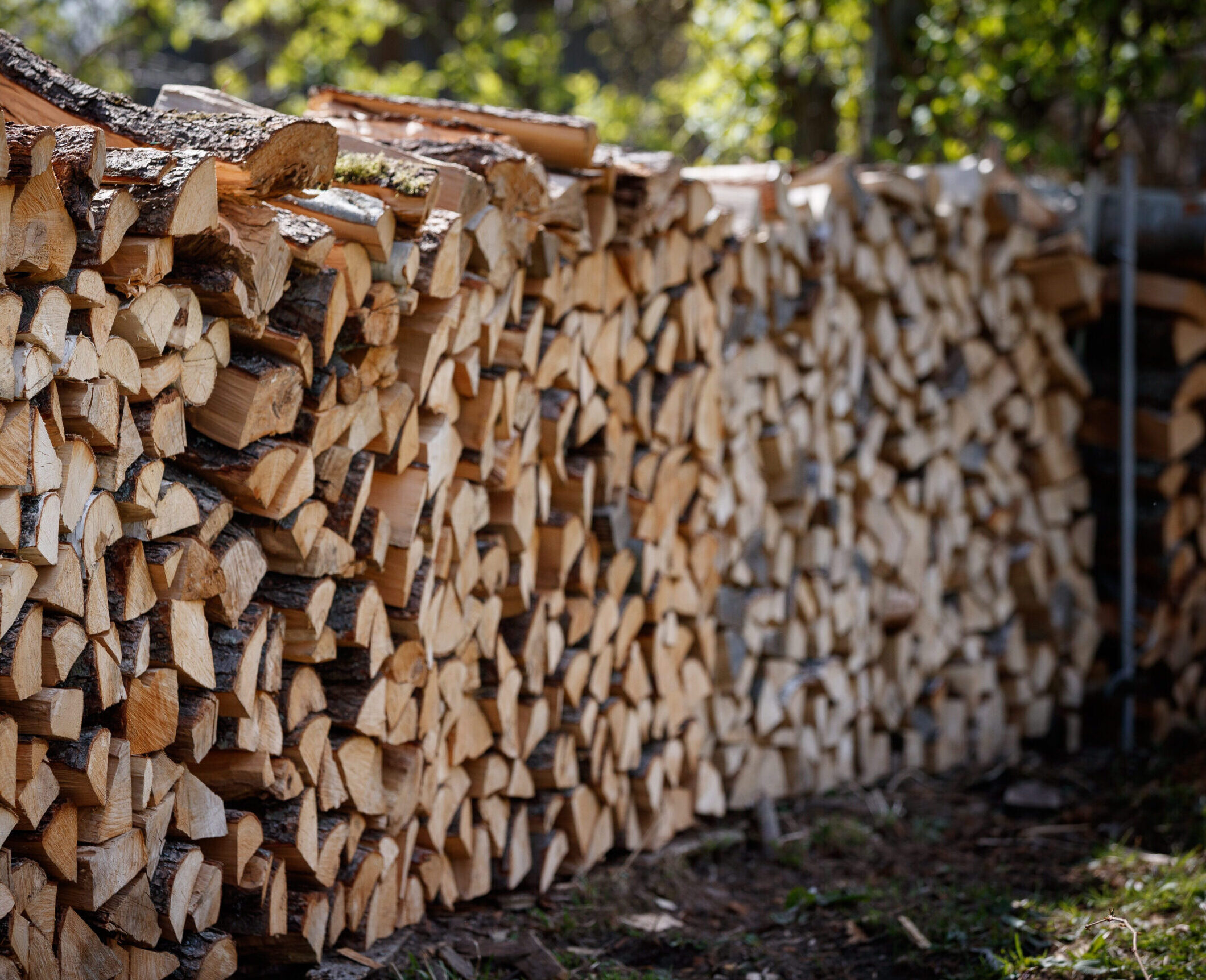 cured firewood for sale