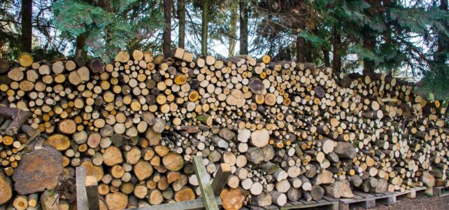 The Best Way to Store Firewood for Maximum Efficiency How to Store Firewood