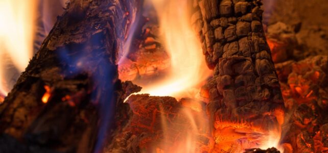Hardwoods vs. Softwoods: Which Firewood Is Best for Heating Your Home? Hardwoods or softwoods for heating your home