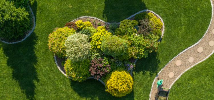 Tree Maintenance for New Homeowners
