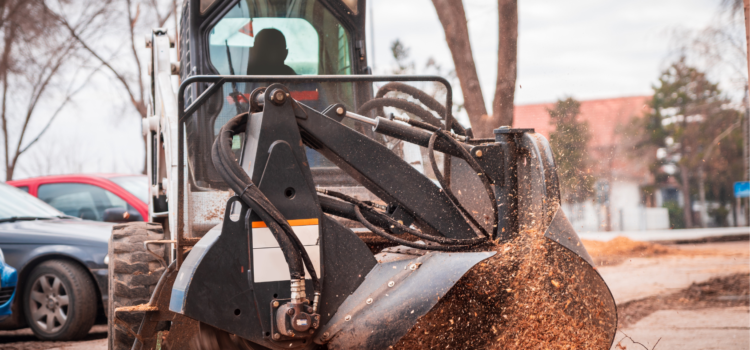Professional Stump Grinding