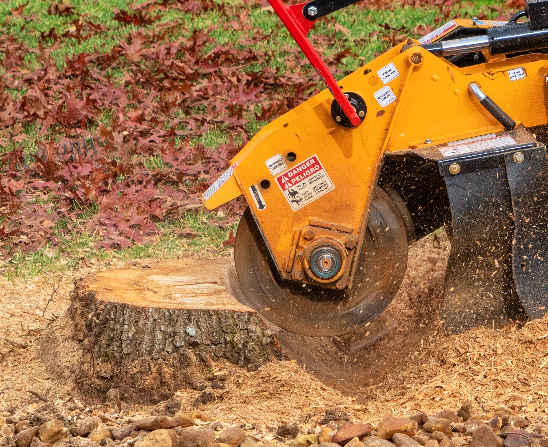 Best Tree Services Company in Ohio - Stump Grinding